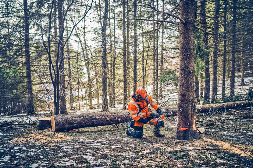 Бензинова ланцюгова пила Husqvarna 562 XP® Mark II — фото 5