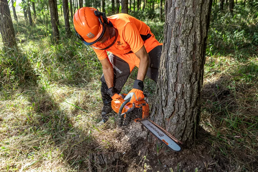 Бензинова ланцюгова пила Husqvarna 365 професійна