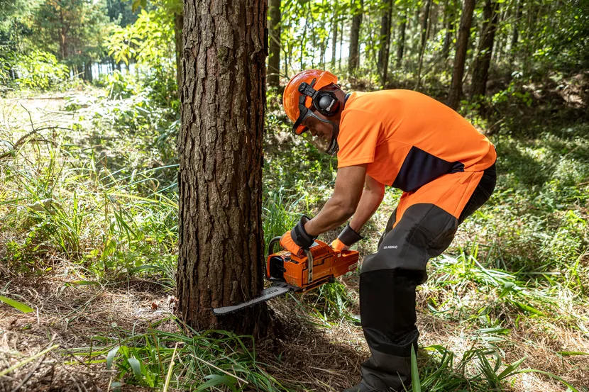 Бензинова ланцюгова пила Husqvarna 61 професійна — фото 2