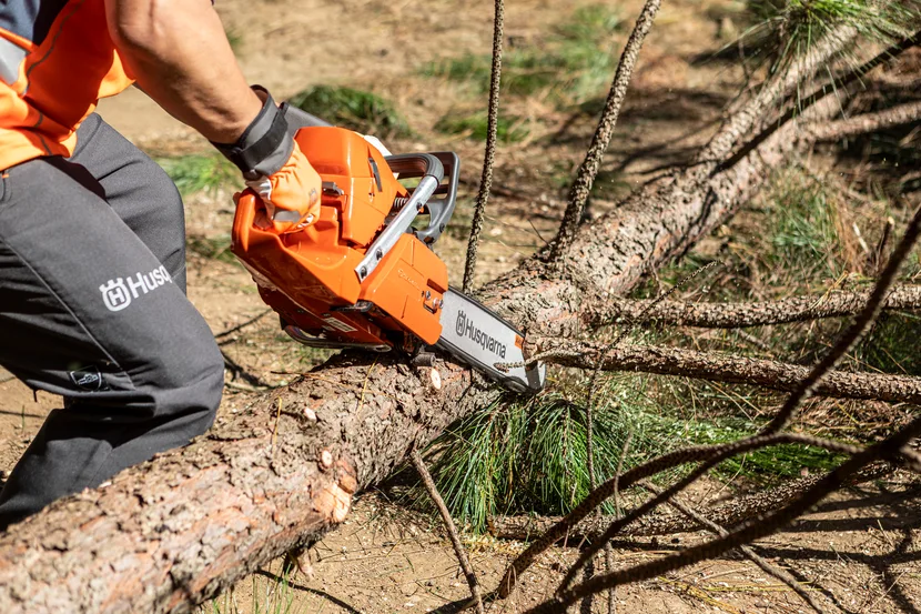 Бензинова ланцюгова пила Husqvarna 365 професійна — фото 3