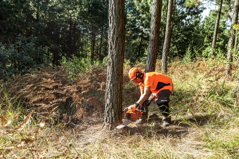 Бензинова ланцюгова пила Husqvarna 272XP професійна — фото 5